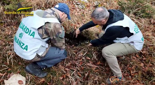 Belluno, ritrovati otto ordigni bellici in un’area boschiva