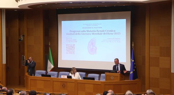 Alla Camera il documento strategico sulla malattia renale cronica