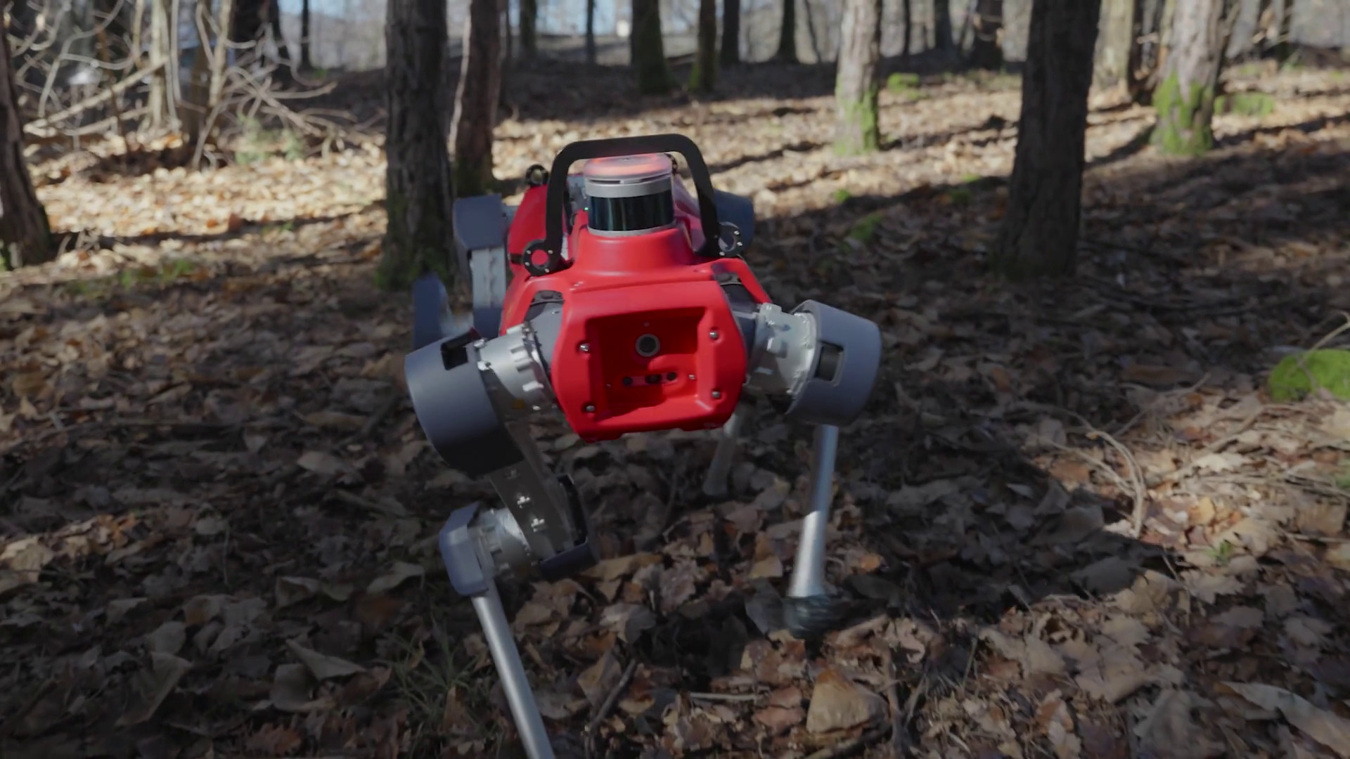 Robot, droni e IA per mappare le foreste. La ricerca di Unibz