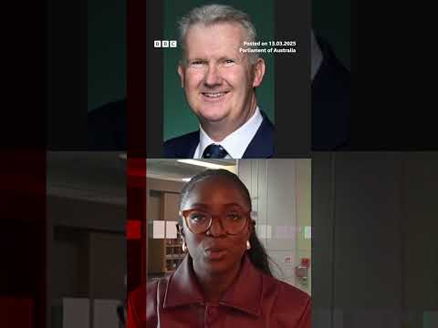 Influencer who stole baby wombat criticised by Australian PM. #Wombat #Australia #BBCNews