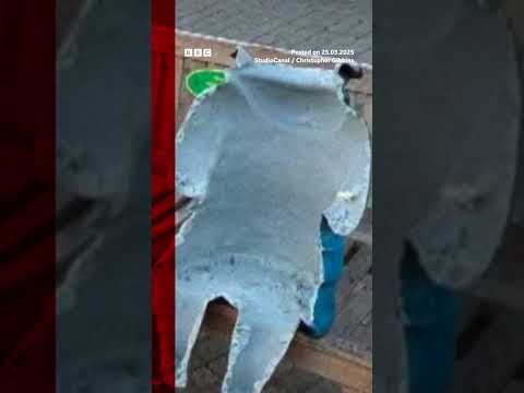 CCTV shows moment Paddington Bear statue ripped in half. #PaddingtonBear #BBCNews