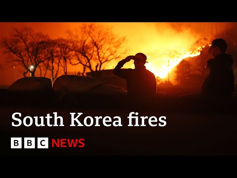 At least 24 dead in South Korea’s ‘worst ever fires’ | BBC News