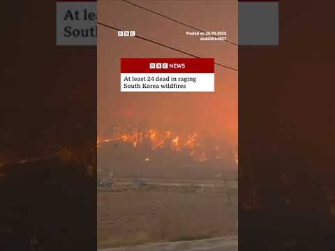 At least 24 dead as South Korea wildfires continue. #SouthKorea #BBCNews