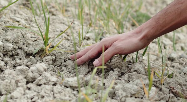 I cambiamenti climatici hanno impatti irreversibili