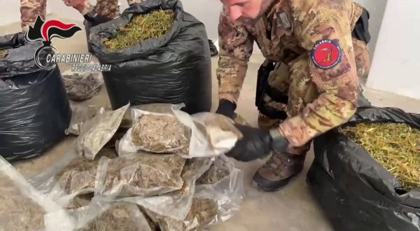30 kg di marijuana nascosti in casa nella locride, arrestato un 35enne