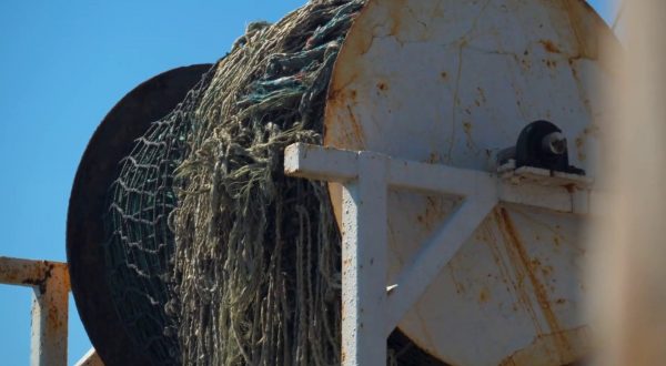 Pesca, bilaterale Italia-Francia per strategie comuni