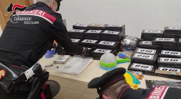 Scoperta raffineria di cocaina nella piana di Gioia Tauro