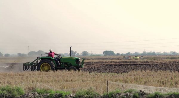 Agrivoltaico, arriva una mappa delle possibili applicazioni