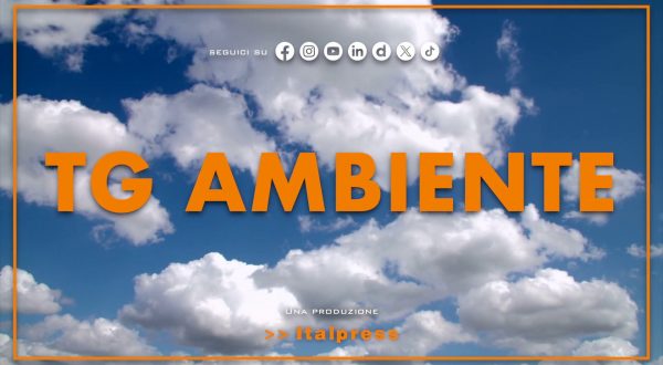 Tg Ambiente – 20/4/2025