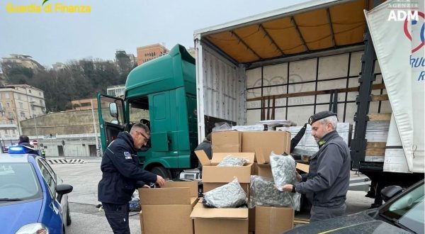 Sequestrati al porto di Ancona 163 kg di droga, un arresto