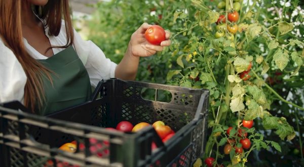 L’agroalimentare traina l’economia italiana