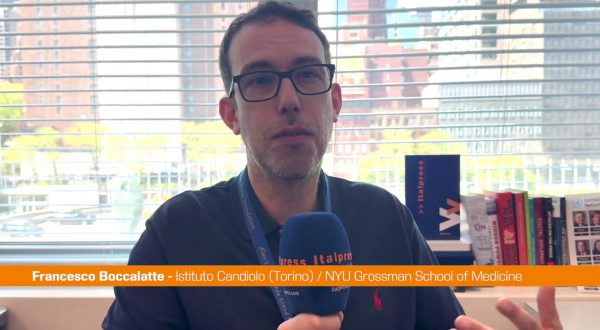 Fuga di cervelli. Una storia esemplare: dall’Italia agli Usa e ritorno