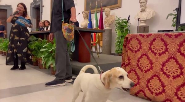 Ai nastri di partenza il premio “La Penna d’Oca del Campidoglio”