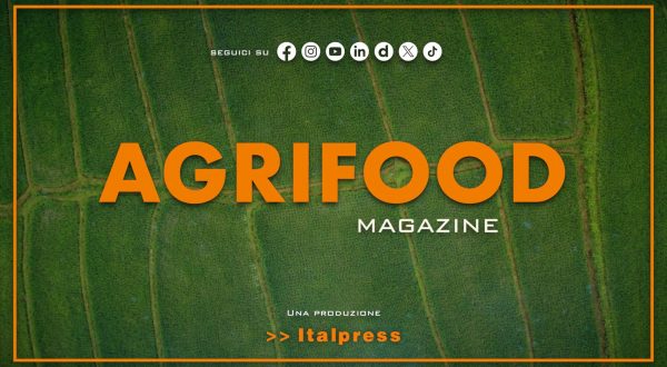Agrifood Magazine – 16/4/2025