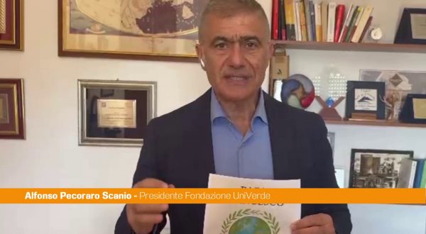 Papa, Pecoraro Scanio “Insegnare enciclica Laudato si’ nelle scuole”