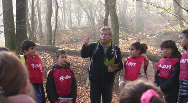 L’educazione alla sostenibilità al centro del Progetto Scuole E.ON