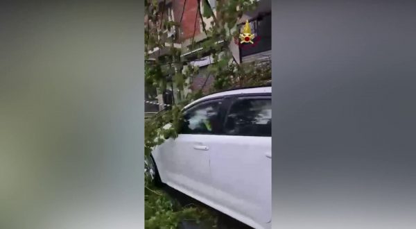 Maltempo in Lombardia, a Milano alberi caduti e allagamenti