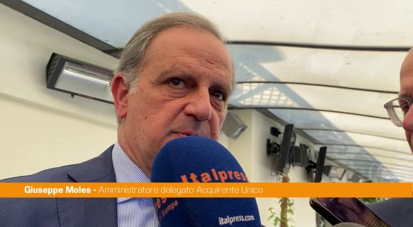 Moles “Bene sperimentazione idrobiometano, ora servono infrastrutture”