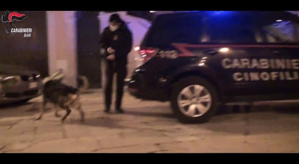 Spaccio di eroina, 7 arresti ad Altamura nel Barese