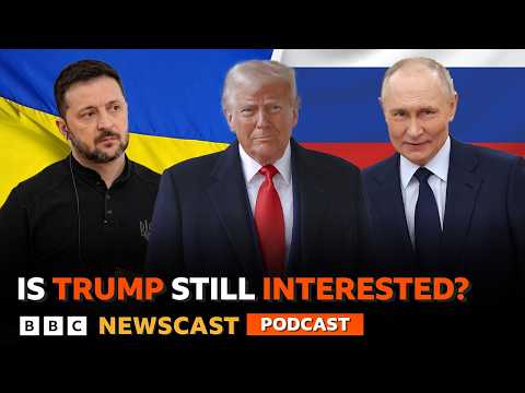 Is Donald Trump still interested in Ukraine-Russia peace talks? | BBC Newscast