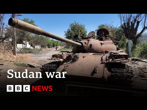 More than 400 killed in attack on Sudan’s Darfur region, says UN | BBC News