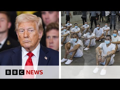 White House ordered to halt mass deportations | BBC News
