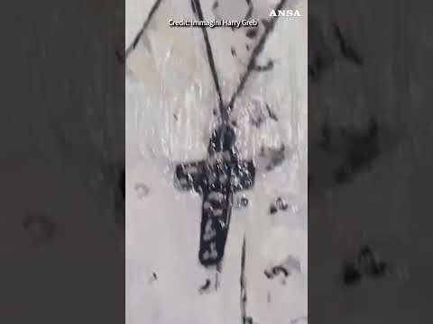 Papa Francesco, il murale di Harry Greb: “Combattivo uomo di pace” #ansa