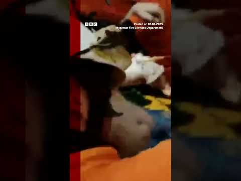 Rescuers are still searching for survivors following the earthquake. #Myanmar #BBCNews