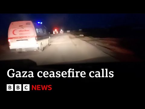 UN aid agencies call for renewed ceasefire in Gaza after Israel’s killing of medics | BBC News