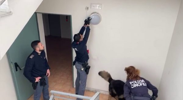 Catania, sequestrata marijuana nascosta in una plafoniera