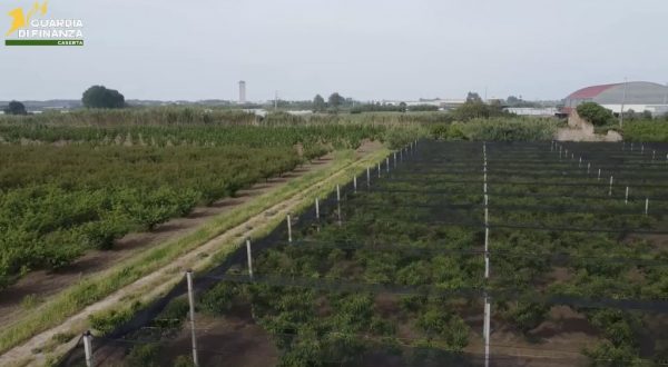 Caserta, frodi in finanziamenti Ue. 12 arresti e sequestri per 9,5 mln