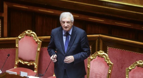 Foti “Transizione demografica fondamentale per il futuro della nazione”