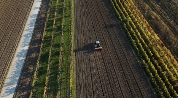 Agroalimentare sempre più attrattivo per i giovani