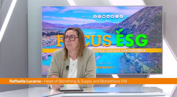 Come si fa l’HVO, il carburante della sostenibilità