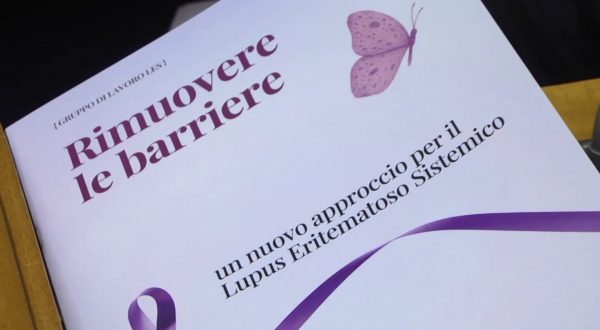 Lupus, confronto fra istituzioni, medici e pazienti per cure eque