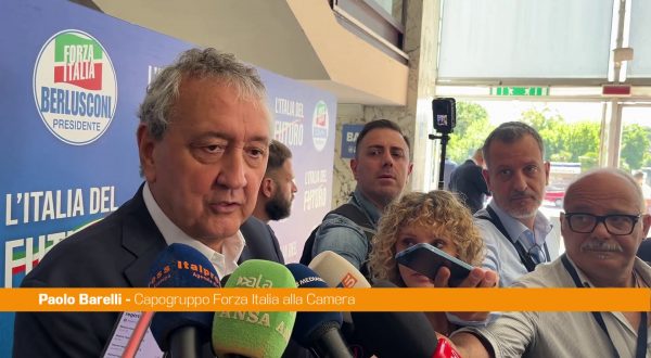 Forza Italia Giovani, Barelli “Partito aperto al confronto”
