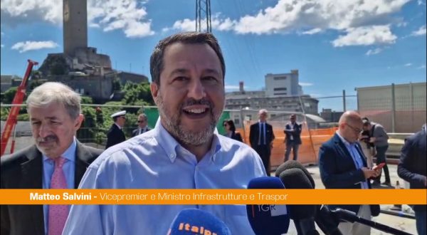 Fecondazione assistita, Salvini “Da Consulta sentenza politica”