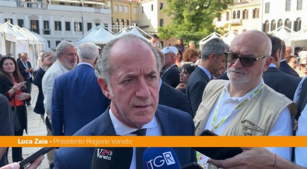 Autonomia, Zaia “Regioni sono propositive e collaborative”