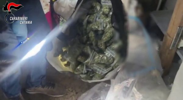 Scoperto un deposito di droga in un garage a Catania, un arresto