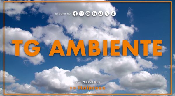 Tg Ambiente – 11/5/2025