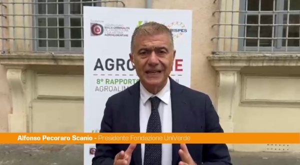 Pecoraro Scanio “Serve una legge contro le agromafie”