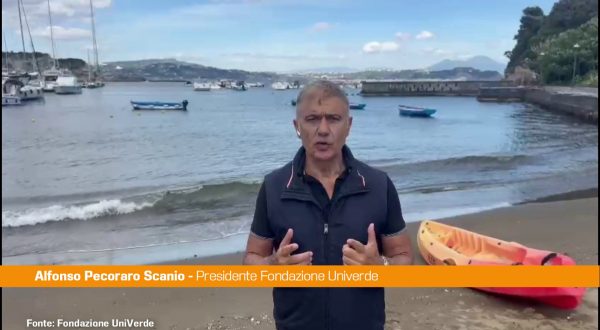 Pecoraro Scanio a difesa del mare “Tutela per un Mediterraneo pulito”