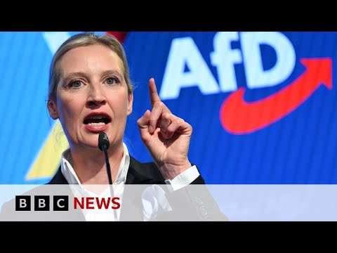 Germany’s AfD party classified as extreme-right by German intelligence | BBC News