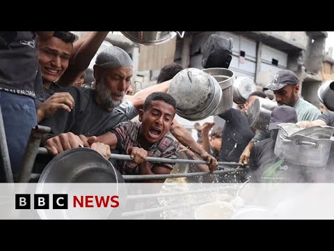 The human impact of the war in Gaza | BBC News