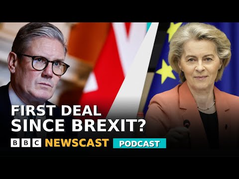 Is The UK About To Rejoin The EU Passport Queue? | BBC Newscast