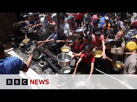 No aid has been distributed in Gaza, UN says | BBC News