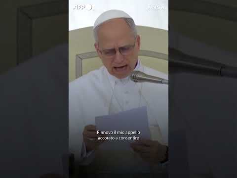 Il Papa: “Dolore per Gaza, si consenta l’ingresso di aiuti” #ansa