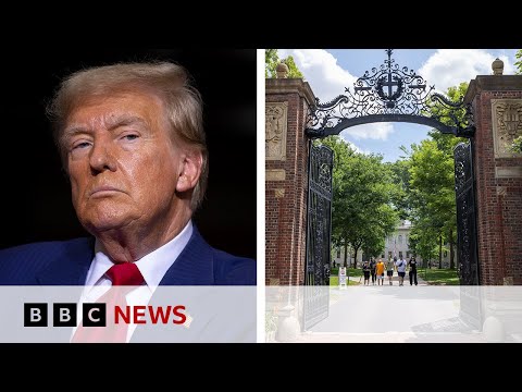 US President Trump blocks Harvard from enrolling foreign students | BBC News