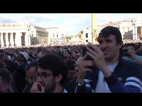Papa Leone XIV, il cucciolo di gabbiano poco prima della fumata bianca#ansa
