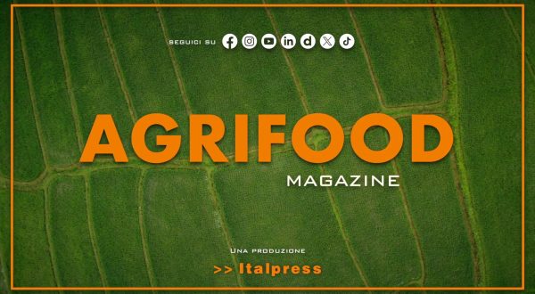 Agrifood Magazine – 14/5/2025